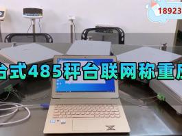 多秤臺同時稱重+分類稱重?cái)?shù)據(jù)管理485通訊
